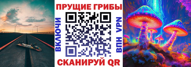 Псилоцибиновые грибы Magic Shrooms  Нерюнгри 